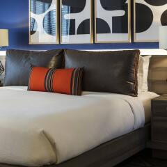 Kimpton Hotel Palomar Washington DC комната для гостей фото 3