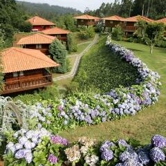 Отель Quinta Das Eiras Машику