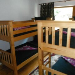 Отель Dragushinovo Boutique Chalet Hotel Болгария, Боровец - отзывы, цены и фото номеров - забронировать отель Dragushinovo Boutique Chalet Hotel онлайн детские мероприятия