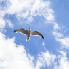 Отель Brighton Getaways-Channel View фото 4