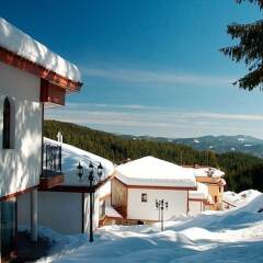 Отель Chalets at Pamporovo Village Болгария, Пампорово - отзывы, цены и фото номеров - забронировать отель Chalets at Pamporovo Village онлайн бассейн