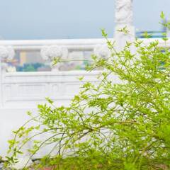 Caesar Park Hotel Taipei пляж