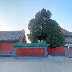Отель Beijing RJ Brown Hotel Китай, Пекин - отзывы, цены и фото номеров - забронировать отель Beijing RJ Brown Hotel онлайн фото 13