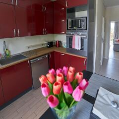 Апартаменты Good Time Apartments - Swietokrzyska в номере