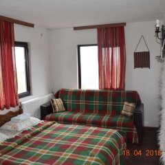 Отель Guest House Alexandrova Болгария, Ардино - отзывы, цены и фото номеров - забронировать отель Guest House Alexandrova онлайн фото 11