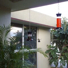 Отель Dickinson Guest House банкомат