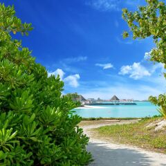 Отель Maldives Seashine Guesthouse пляж