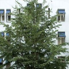 Отель Bleibtreu Berlin by Golden Tulip Германия, Берлин - 3 отзыва об отеле, цены и фото номеров - забронировать отель Bleibtreu Berlin by Golden Tulip онлайн фото 4