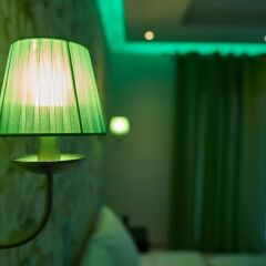 Апартаменты Grey House Apartments удобства в номере