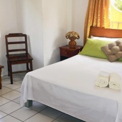 Vicky's Holiday Apartments in Mahe Island, Seychelles from 287$, photos, reviews - zenhotels.com guestroom photo 5