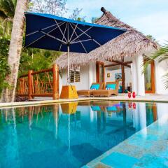 Отель Tropica Island Resort - Adults Only бассейн