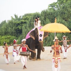 Отель Taj Bentota Resort & Spa Шри-Ланка, Бентота - 2 отзыва об отеле, цены и фото номеров - забронировать отель Taj Bentota Resort & Spa онлайн детские мероприятия