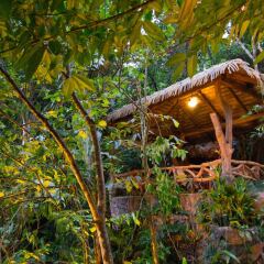 Отель The Springs Resort and Spa at Arenal фото 9