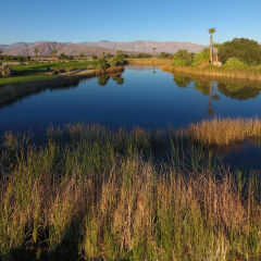Отель Borrego Springs Resort and Spa фото 3