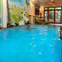 Hoa My II Hotel с домашними животными