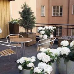 Отель Clarion Collection Hotel Wellington Швеция, Стокгольм - отзывы, цены и фото номеров - забронировать отель Clarion Collection Hotel Wellington онлайн помещение для мероприятий
