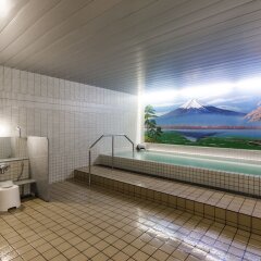 Отель New Tomakomai Prince Hotel "Nagomi" Япония, Томакомай - отзывы, цены и фото номеров - забронировать отель New Tomakomai Prince Hotel "Nagomi" онлайн бассейн