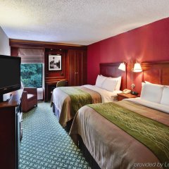 Comfort Inn in Oxford, United States of America from 103$, photos, reviews - zenhotels.com guestroom