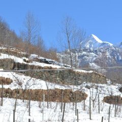 Отель Casa Vacanza La Rocca Киеза-ин-Вальмаленко фото 8
