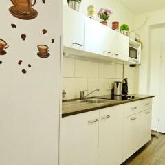 Отель HP Apartment Австрия, Вена - отзывы, цены и фото номеров - забронировать отель HP Apartment онлайн в номере фото 2