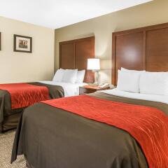 Отель Comfort Inn & Suites Denver комната для гостей фото 4
