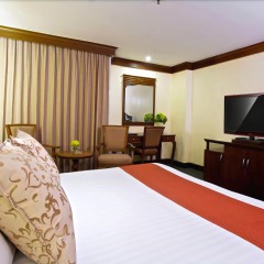 King Park Avenue Hotel удобства в номере