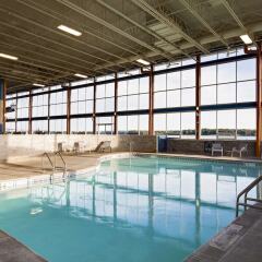 Отель Four Points by Sheraton Niagara Falls США, Ниагара-Фолс - отзывы, цены и фото номеров - забронировать отель Four Points by Sheraton Niagara Falls онлайн бассейн фото 3