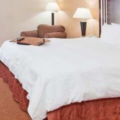 Отель Hampton Inn Niagara Falls, USA США, Ниагара-Фолс - отзывы, цены и фото номеров - забронировать отель Hampton Inn Niagara Falls, USA онлайн