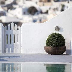 Отель Belvedere Suites фото 3