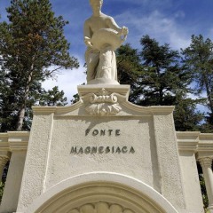 Grand Hotel Terme della Fratta Бертиноро фото 10