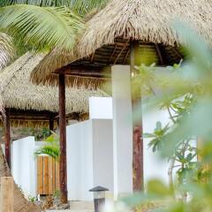 Отель Tropica Island Resort - Adults Only спа фото 2