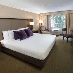Отель Bethesda Court Hotel США, Бетесда - отзывы, цены и фото номеров - забронировать отель Bethesda Court Hotel онлайн фото 5