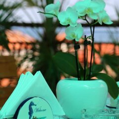Отель Guest House Kostadinovi Болгария, Равда - отзывы, цены и фото номеров - забронировать отель Guest House Kostadinovi онлайн приотельная территория