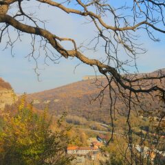 Park Hotel Asenevtsi & SPA Велико Тырново