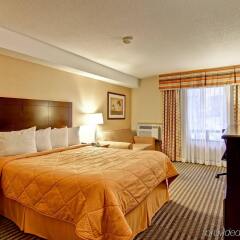 Comfort Inn East In Toronto Canada From 105 Photos Reviews