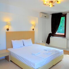 Отель Elli Greco Hotel Болгария, Сандански - отзывы, цены и фото номеров - забронировать отель Elli Greco Hotel онлайн фото 5