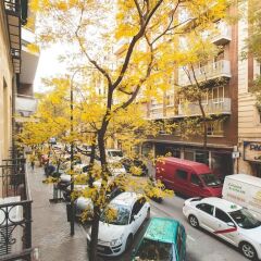 Отель Apartamento en Goya балкон
