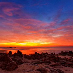 Отель The Westin Los Cabos Resort Villas & Spa Мексика, Сан-Хосе-дель-Кабо - отзывы, цены и фото номеров - забронировать отель The Westin Los Cabos Resort Villas & Spa онлайн пляж фото 2