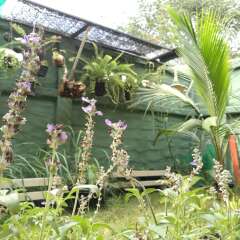 Отель Hi Bangkok B&B Бангкок
