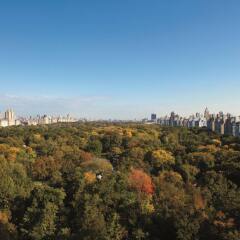 Отель Ritz-Carlton New York Central Park США, Нью-Йорк - отзывы, цены и фото номеров - забронировать отель Ritz-Carlton New York Central Park онлайн фото 3