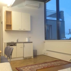 Апартаменты Living Vienna Apartment Вена в номере