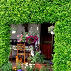 Отель B&B da Gi&Jo Базилиано