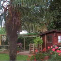 Отель B&B Via Venezia 206 Италия, Мира - отзывы, цены и фото номеров - забронировать отель B&B Via Venezia 206 онлайн фото 10