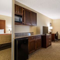 Отель Comfort Inn & Suites Little Rock Airport США, Литл-Рок - отзывы, цены и фото номеров - забронировать отель Comfort Inn & Suites Little Rock Airport онлайн в номере фото 2