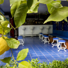 Blue & White Hotel с домашними животными