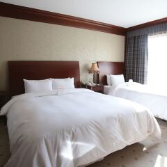 Отель Prima Hotel Южная Корея, Сеул - отзывы, цены и фото номеров - забронировать отель Prima Hotel онлайн комната для гостей фото 6