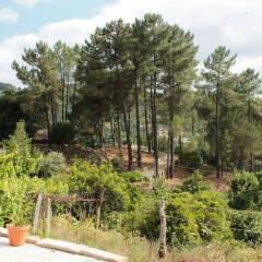 Отель Quinta do Sobreiro Португалия, Марку-ди-Канавезиш - отзывы, цены и фото номеров - забронировать отель Quinta do Sobreiro онлайн приотельная территория