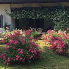 Отель B&B Le Querce Кьюзафорте фото 2