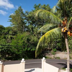 Home Confort in Praslin Island, Seychelles from 175$, photos, reviews - zenhotels.com balcony