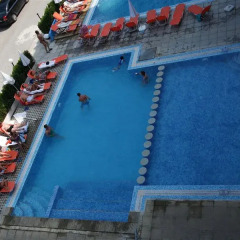 Hotel Gladiola с домашними животными